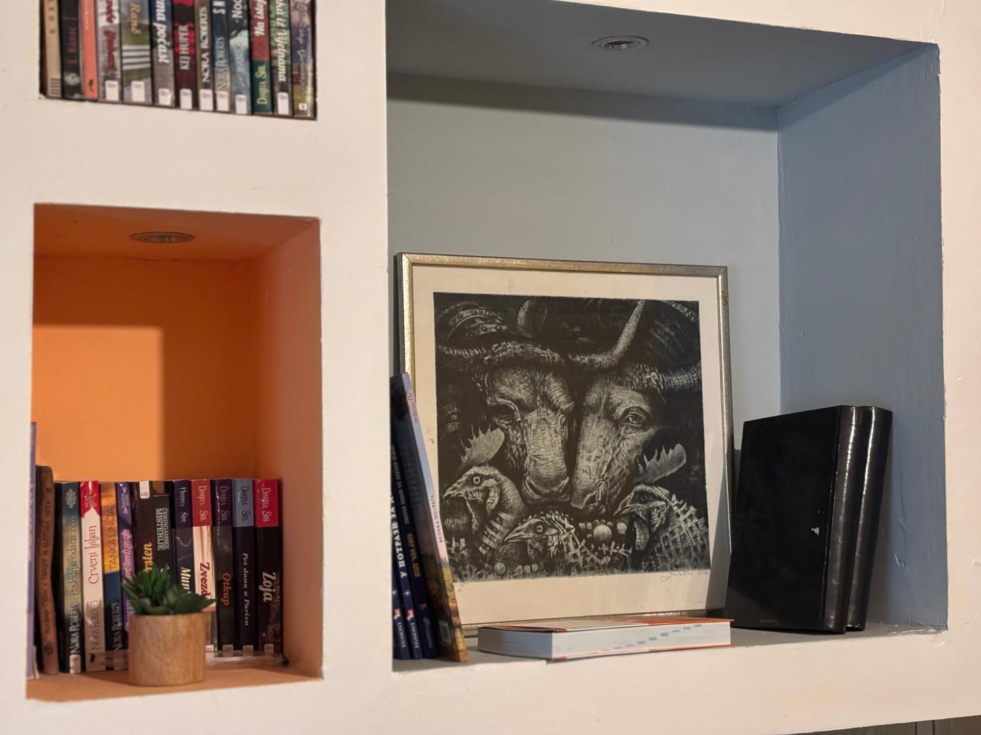 Vracar Affordable Suites - Vracar Povoljni Stanovi Belgrade Luaran gambar